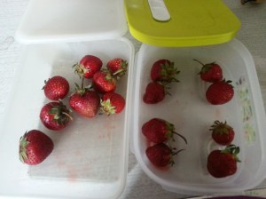 strawberryend