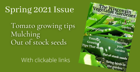 Spring 2021 Issue (1)