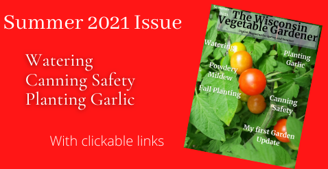 Spring 2021 Issue
